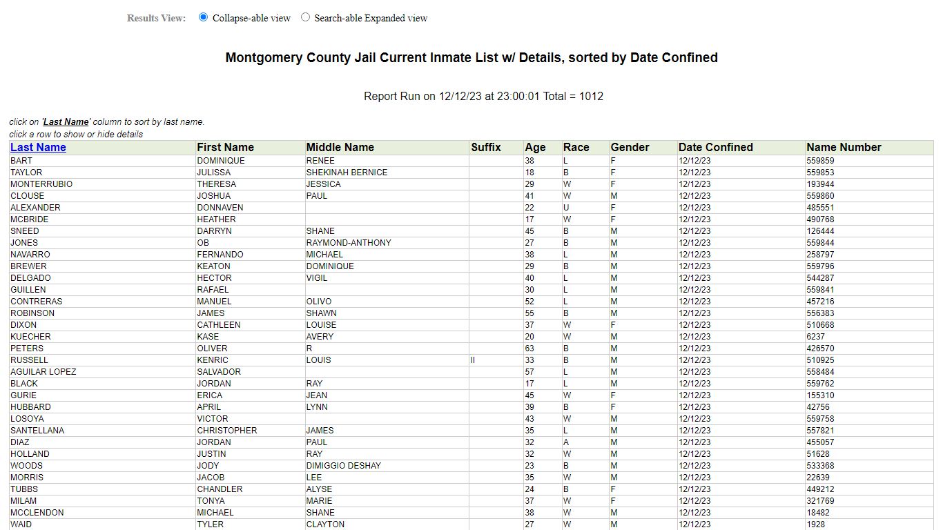 Jail Roster